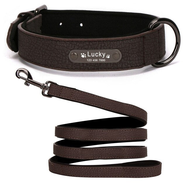 Personalized Leather Dog Collar and Leash