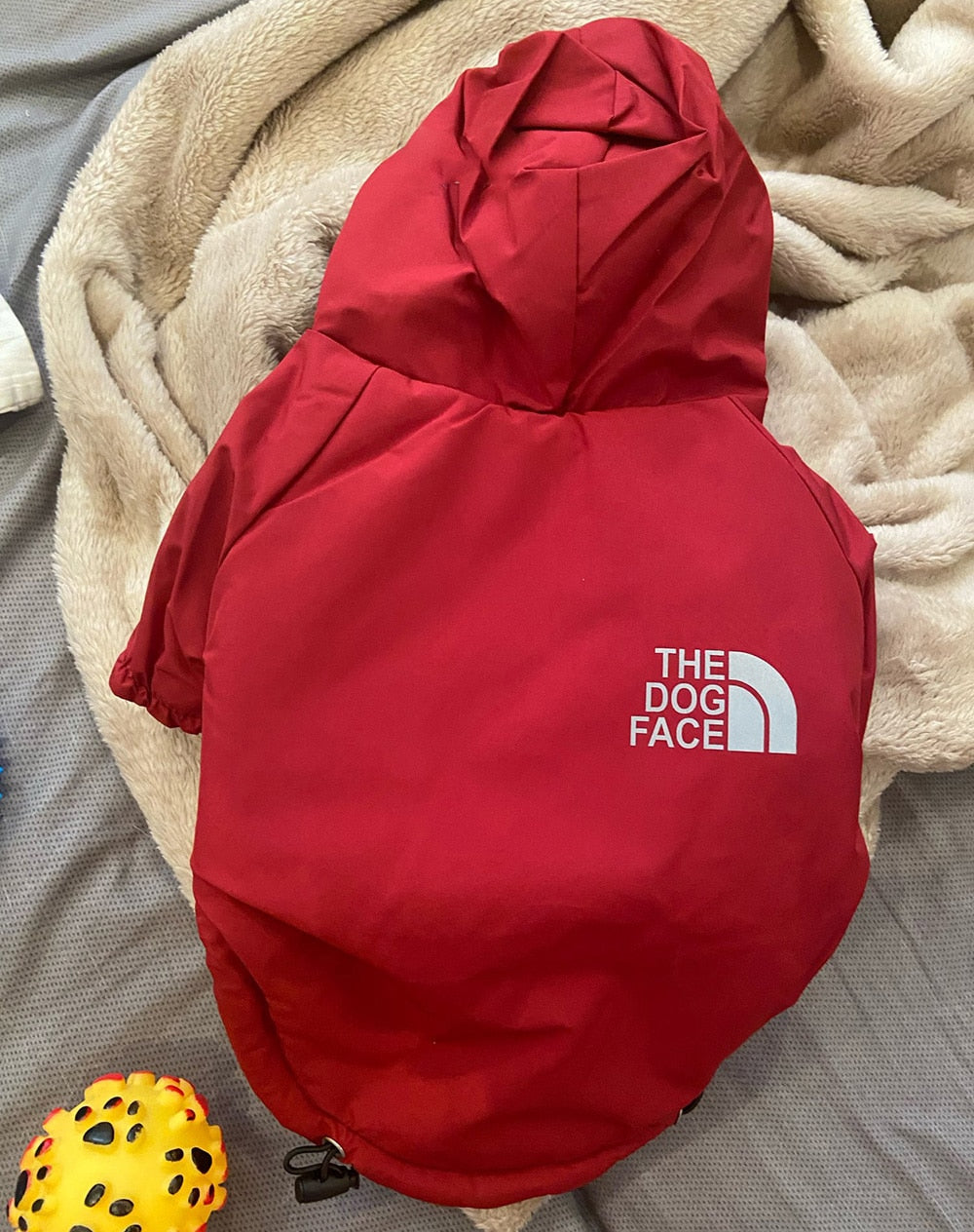 Pet Dog Coat - The Dog Face