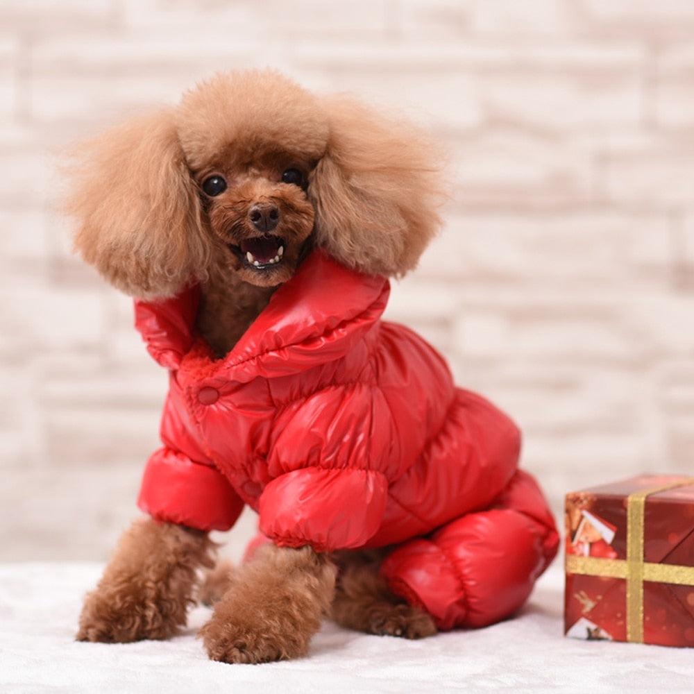 Warm Winter Snowsuit