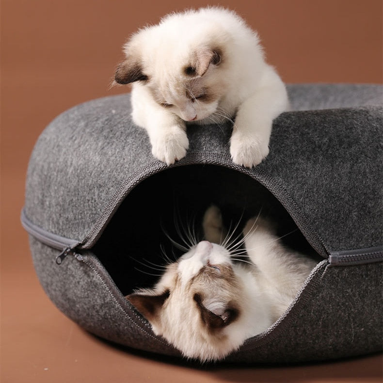 Cats House with Cushion