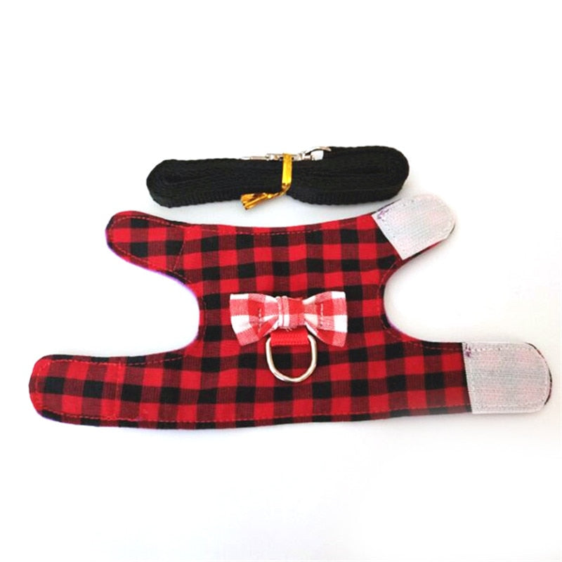 Small Animal Harness and Leash Set