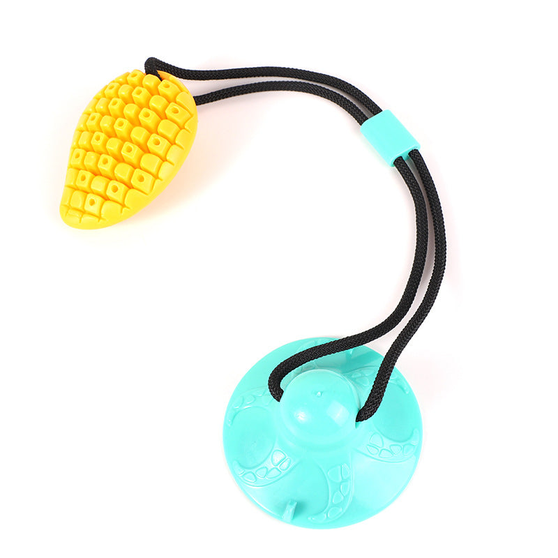 Suction Cup Chew Toy
