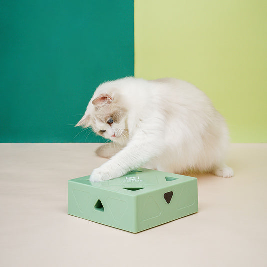 FOFOS  Magic Box Cat Toy