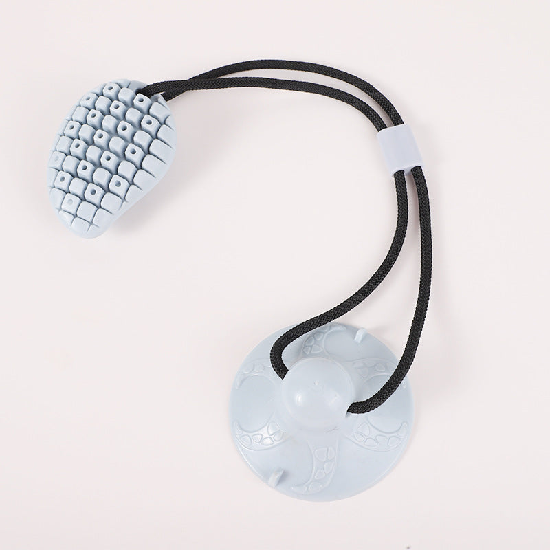Suction Cup Chew Toy