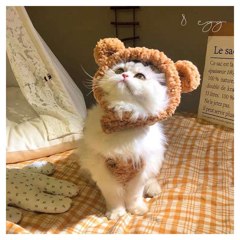Pet Plush Bear Headwear
