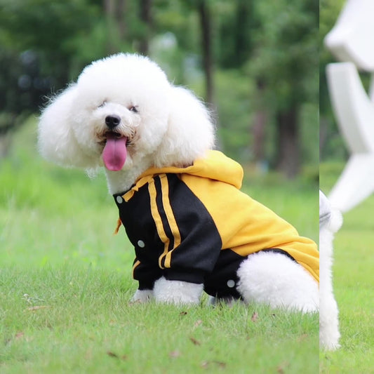 Fleece Dog Hoodie