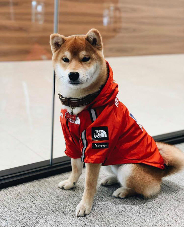 The Dog Face Windproof Raincoat