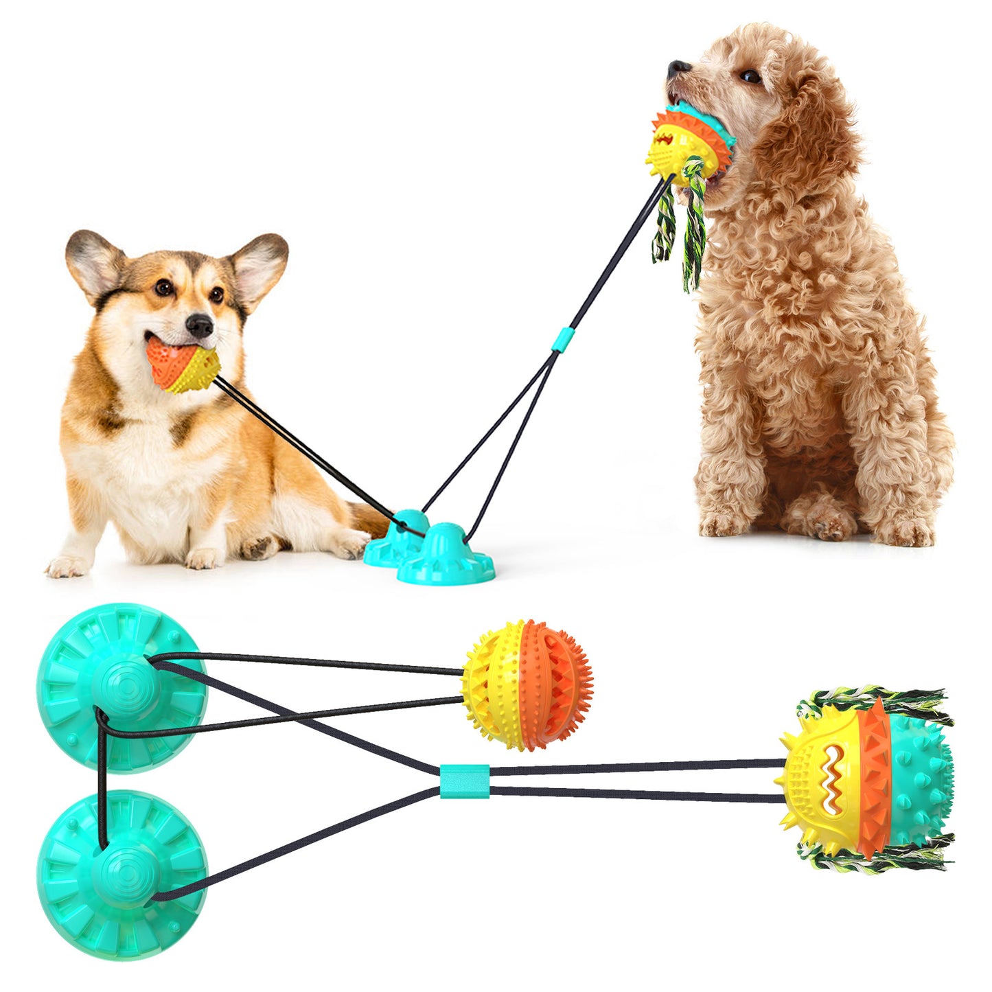 Rover Dual Dog Toy