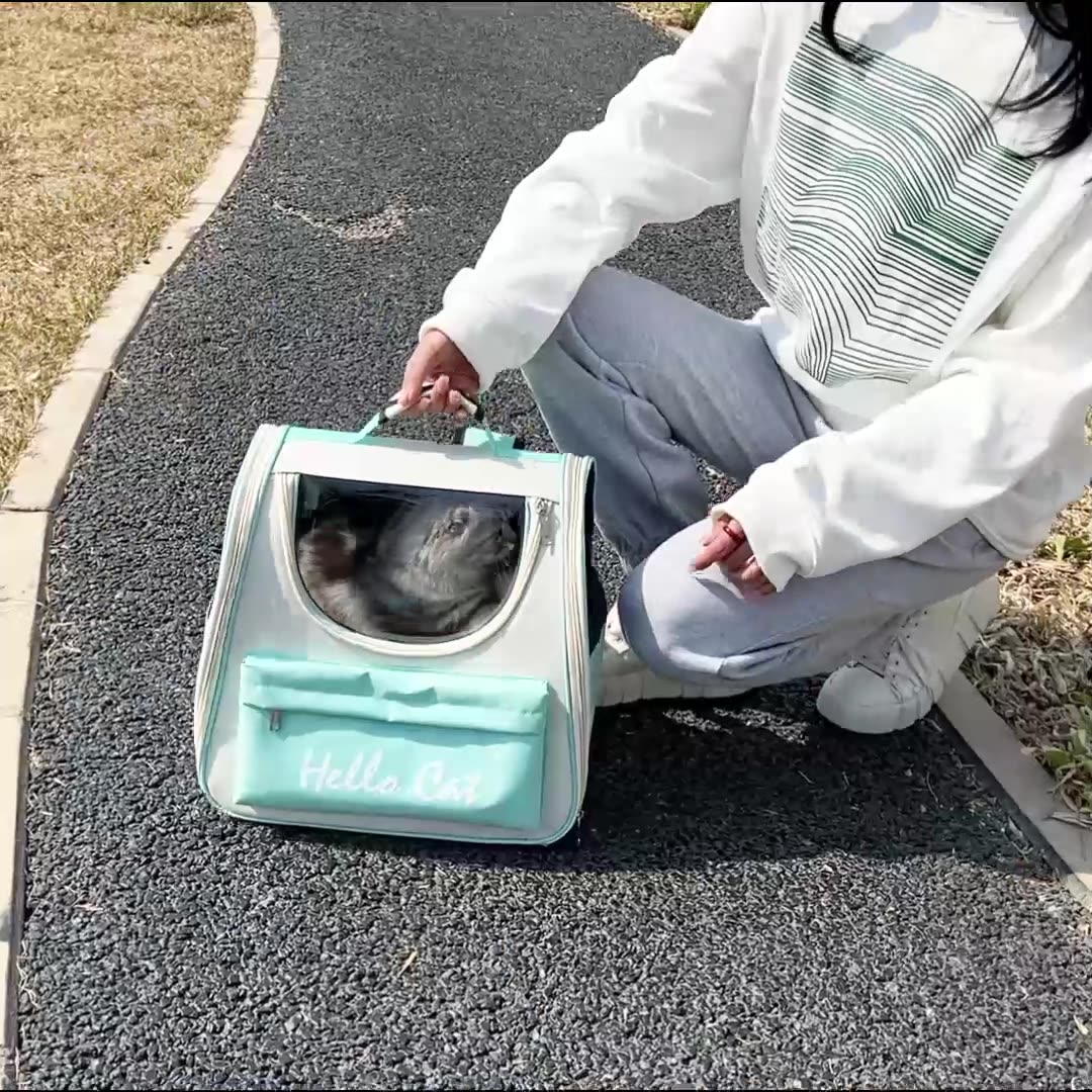 Portable Pet Carrier