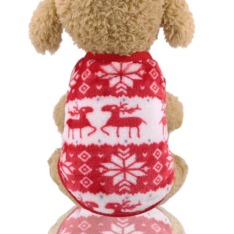Adorable Puppy Sweater