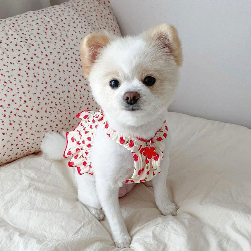 Teddy Princess Puppy Skirt