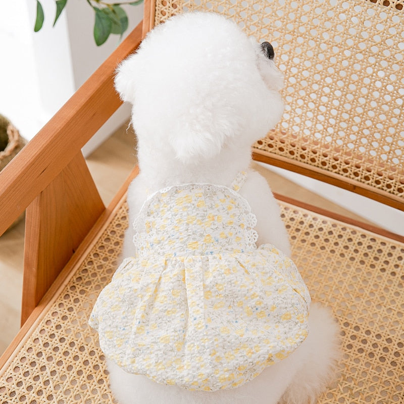 Teddy Princess Puppy Skirt