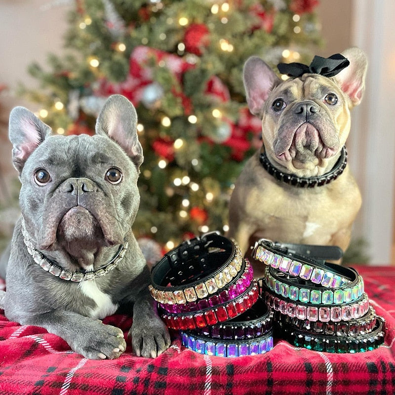 Luxury Rhinestone Dog Collar