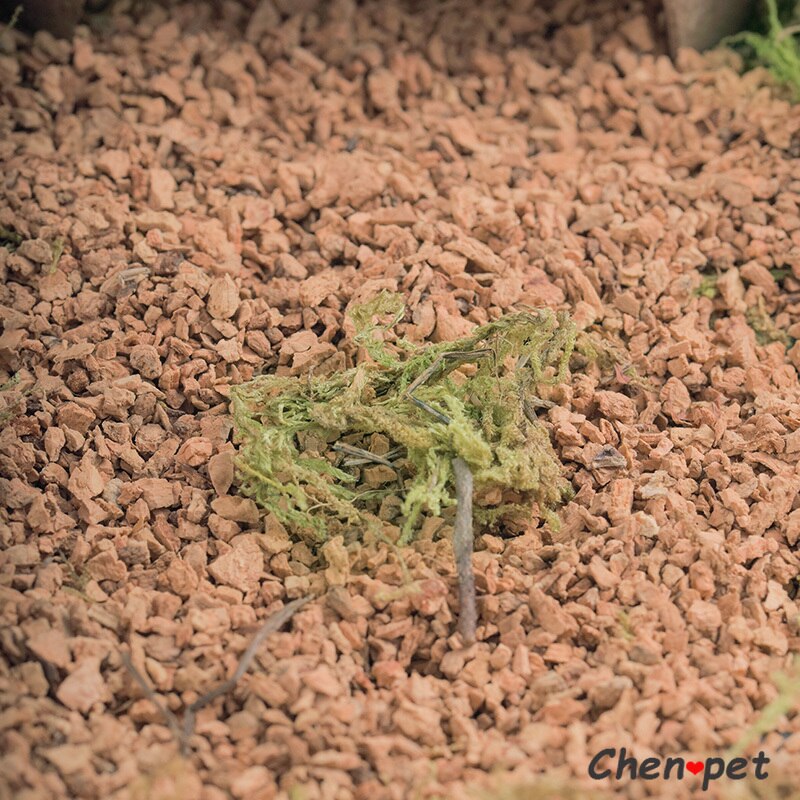 Small Animal Habitat Accessories