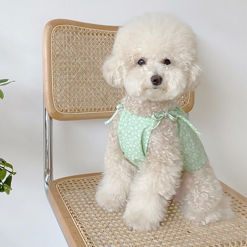 Teddy Princess Puppy Skirt