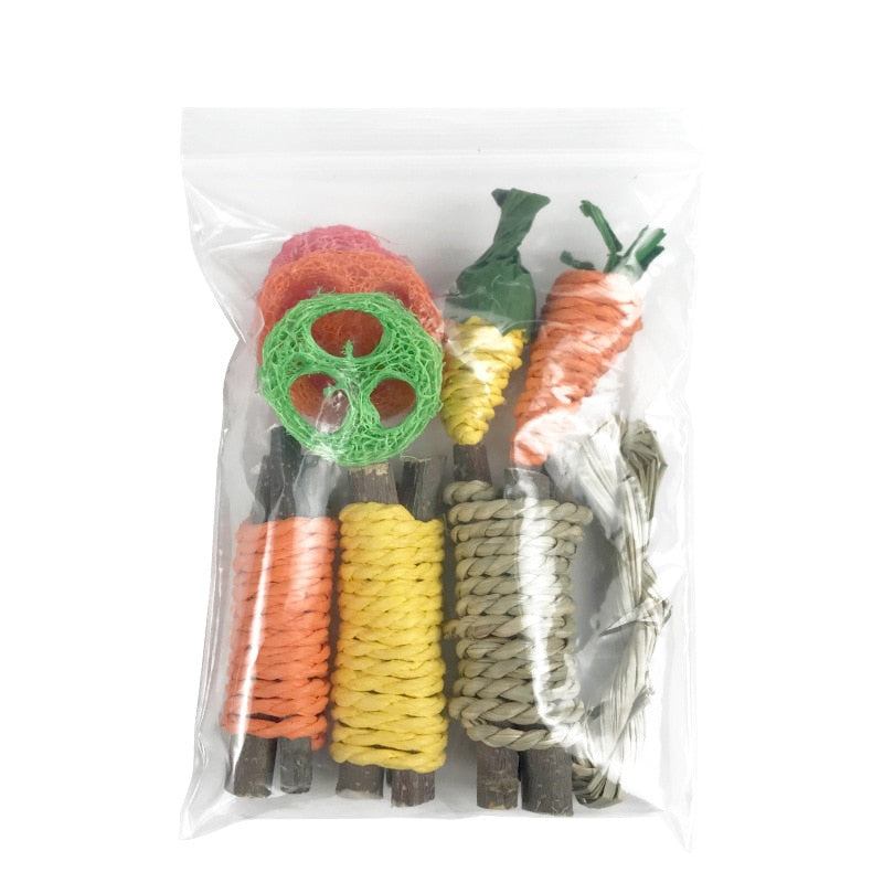 Small Animal Chew Toy Set