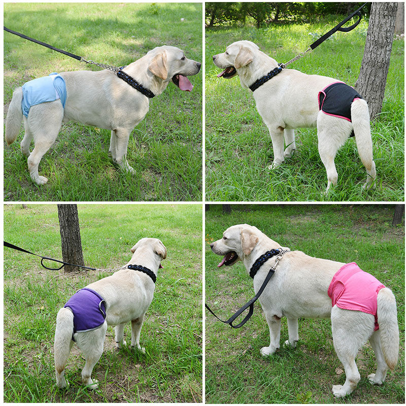 Washable Pet Diaper