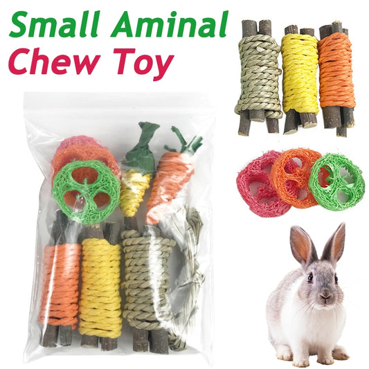 Small Animal Chew Toy Set