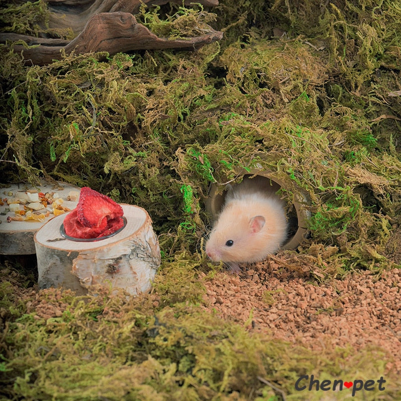 Small Animal Habitat Accessories