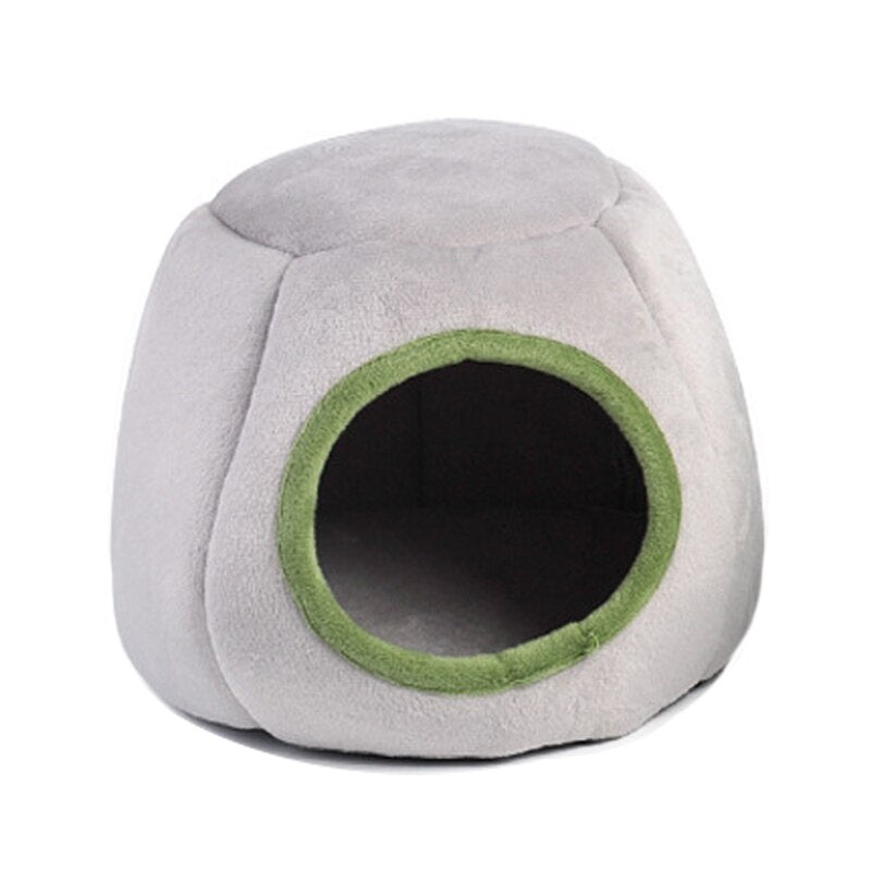 Small Animal House