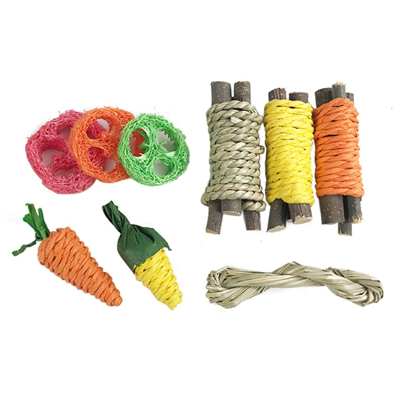 Small Animal Chew Toy Set