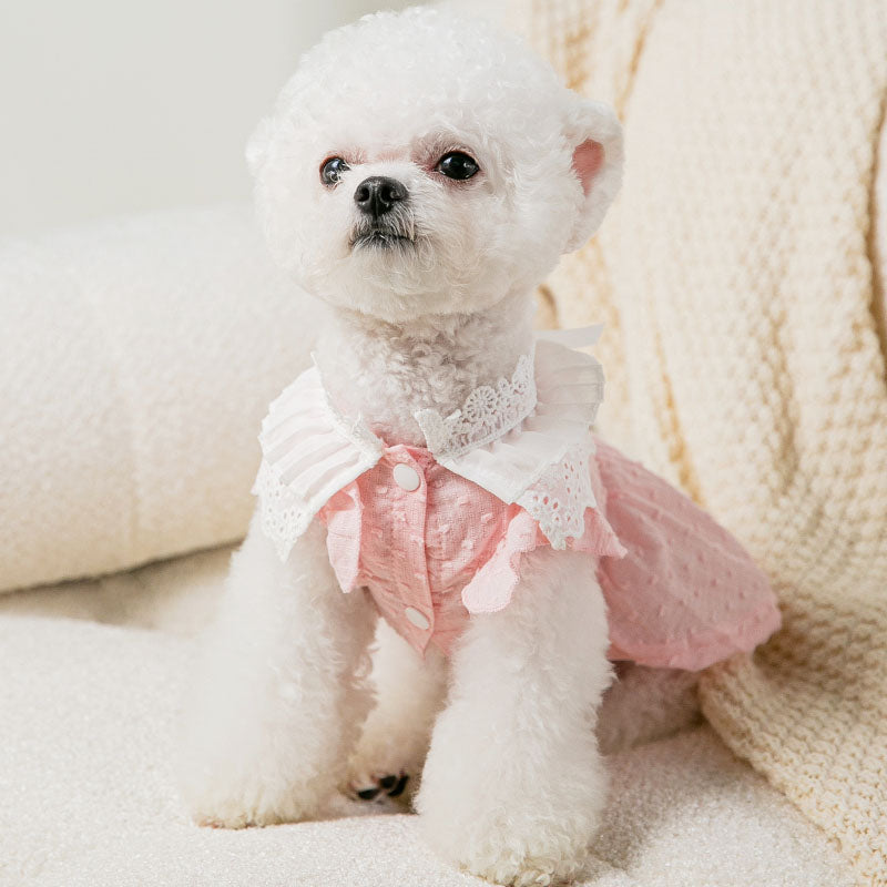Teddy Princess Puppy Skirt