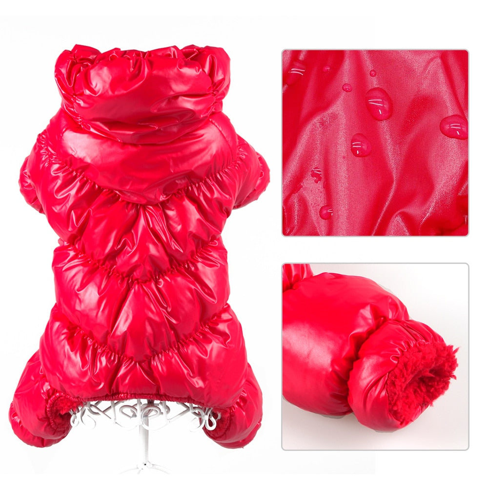 Waterproof Pet Jacket