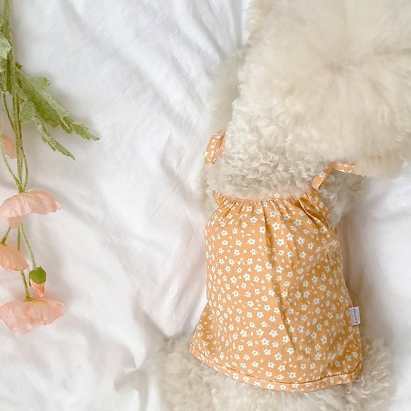 Teddy Princess Puppy Skirt