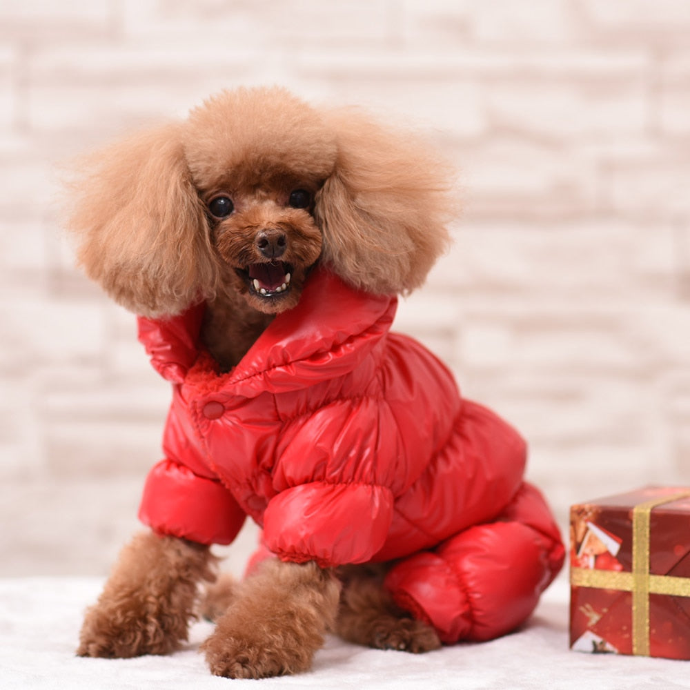 Waterproof Pet Jacket