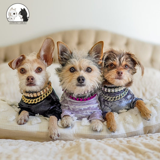 Luxury Rhinestone Dog Collar
