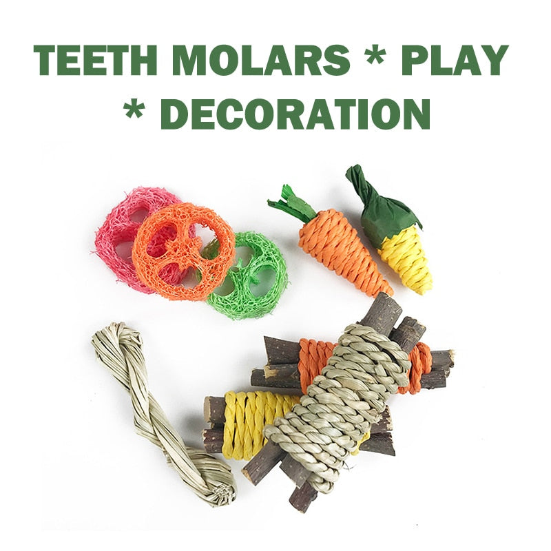 Small Animal Chew Toy Set