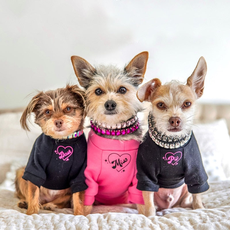 Luxury Rhinestone Dog Collar