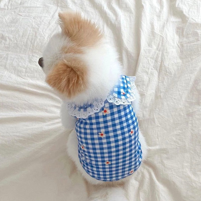 Fashionable Summer Pet Dress