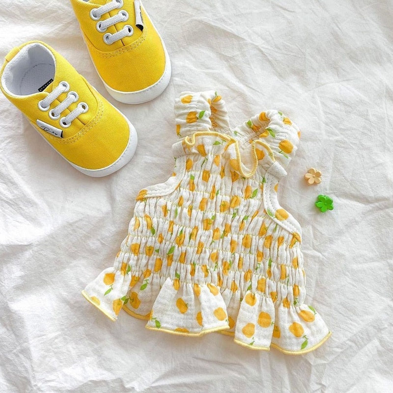 Teddy Princess Puppy Skirt