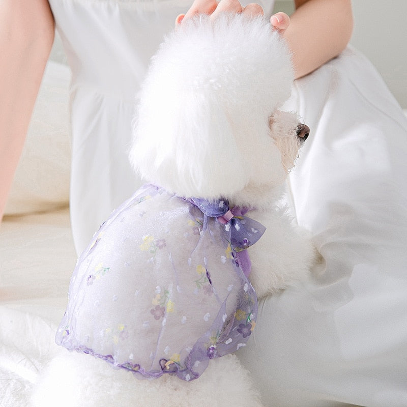 Spring and Summer Floral Dog Clothes