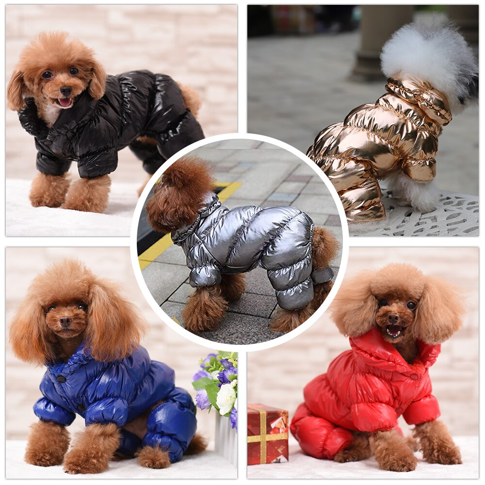 Waterproof Pet Jacket
