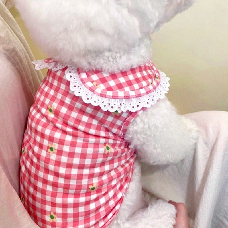 Fashionable Summer Pet Dress