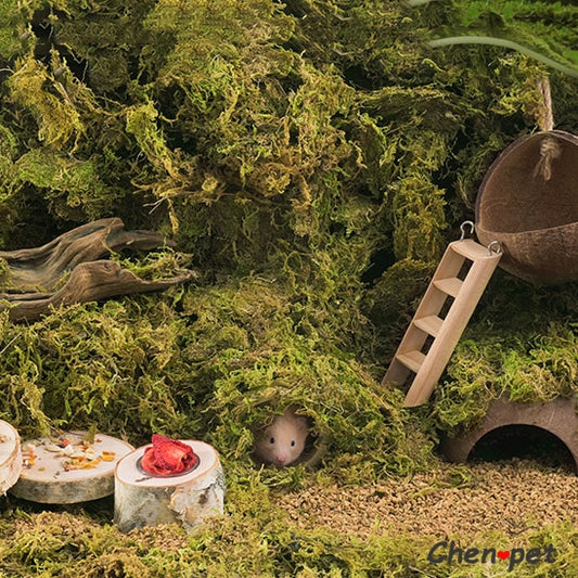 Small Animal Habitat Accessories