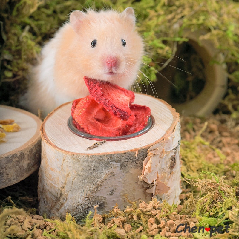 Small Animal Habitat Accessories