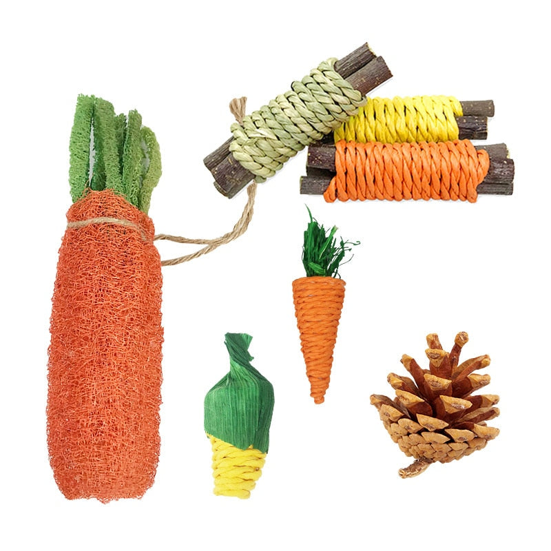 Small Animal Chew Toy Set