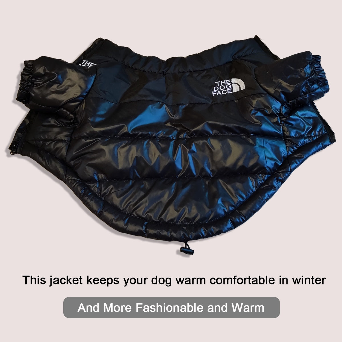 Windproof Dog Jacket