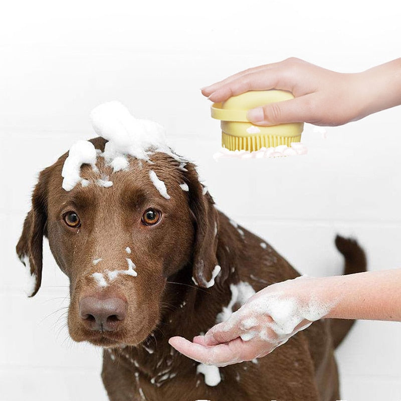 Bath Glove Brush