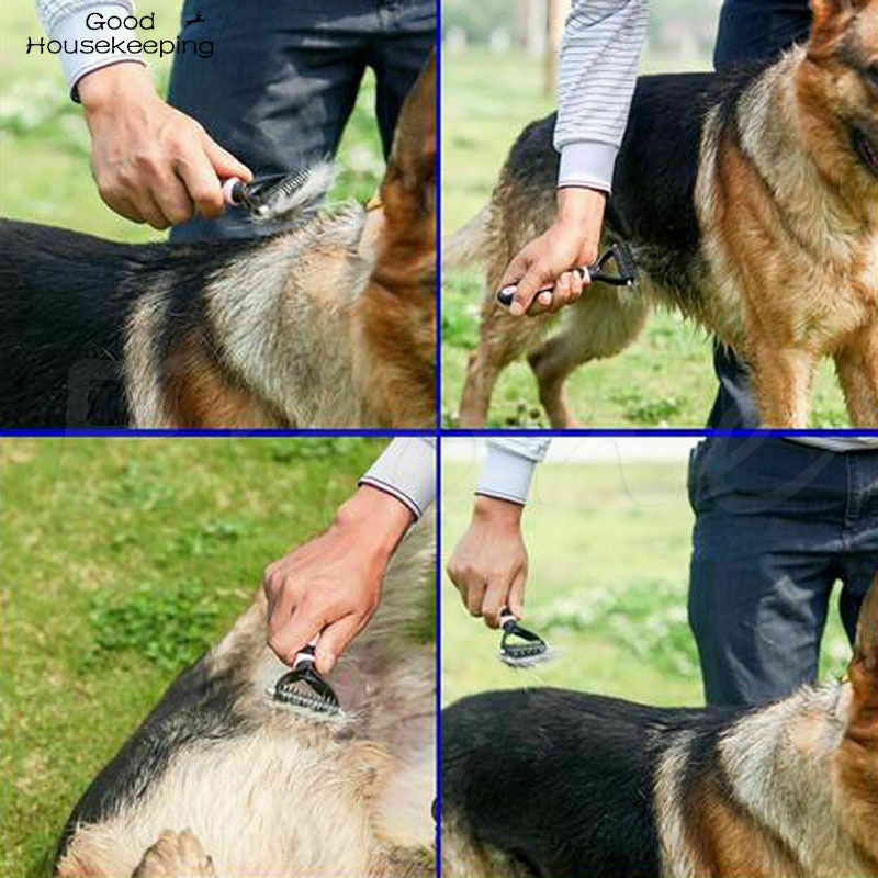 Pet Grooming Tool