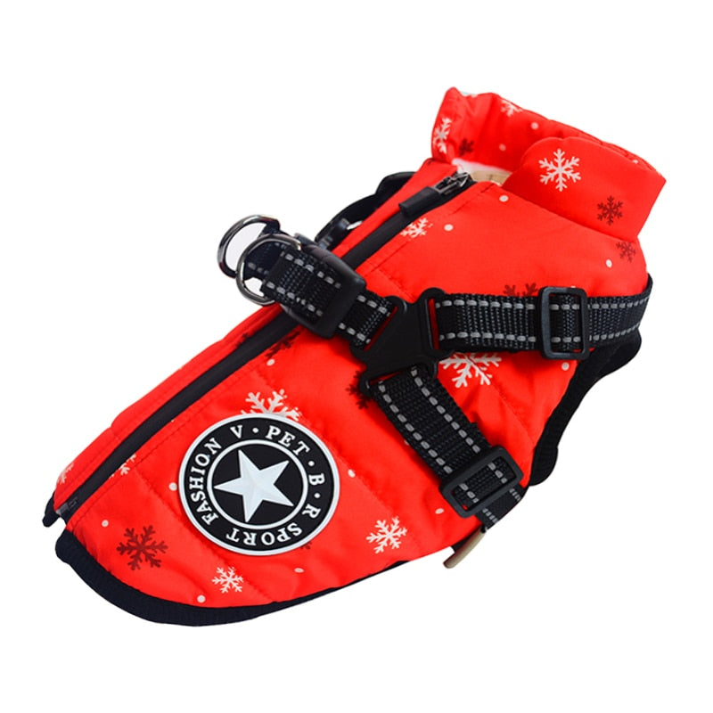 Dog Jacket With Harness