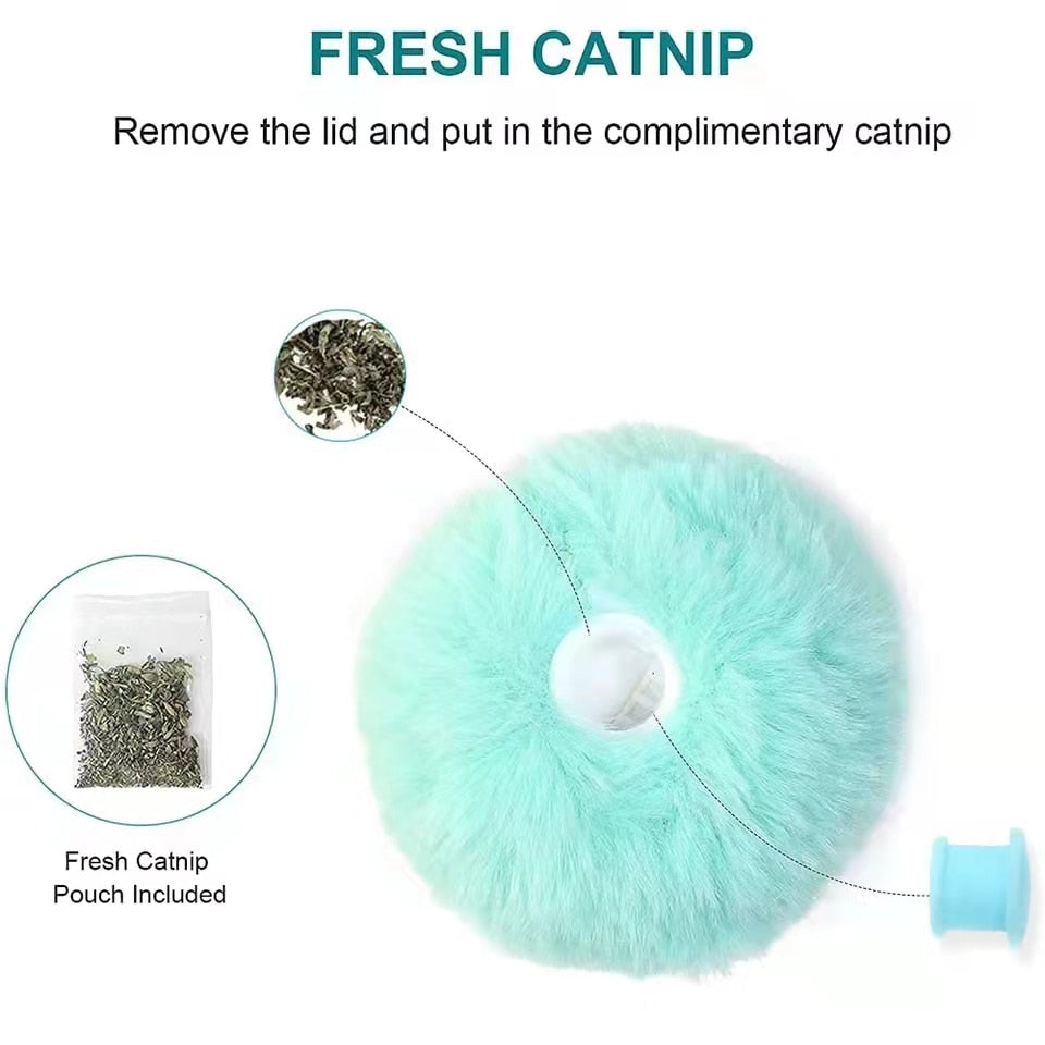 Interactive Plush Catnip Squeak Ball