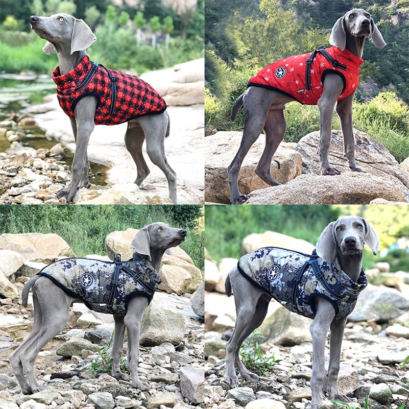 Fleece Dog Jacket