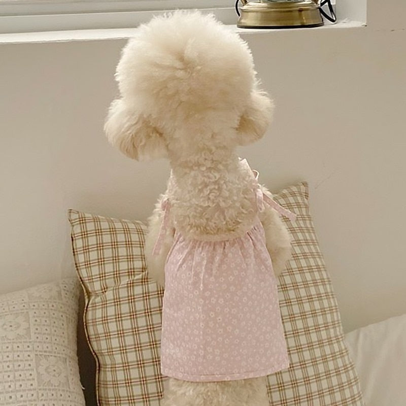 Teddy Princess Puppy Skirt