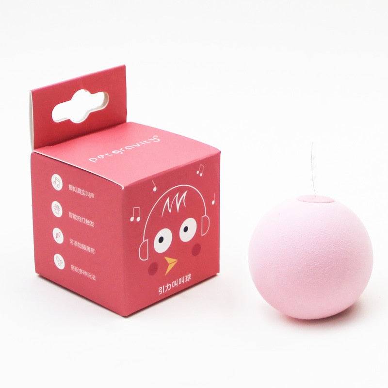 Interactive Plush Catnip Squeak Ball