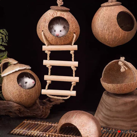 Small Pet Coconut House
