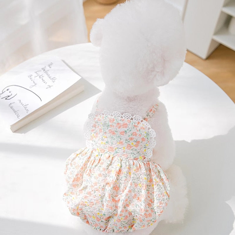 Teddy Princess Puppy Skirt